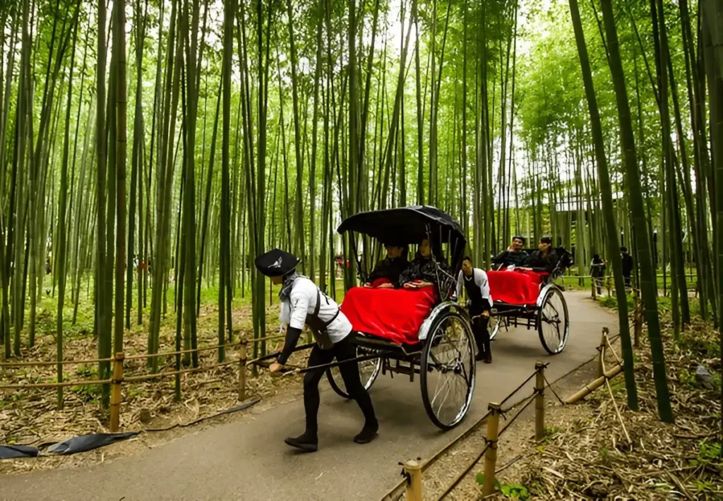 Arashiyama bamboo grove at night,Visitors ride a rickshaw at bamboo path in Arashiyama bamboo grove
