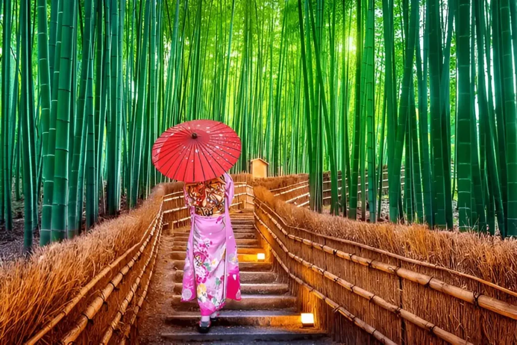 Arashiyama bamboo grove at night