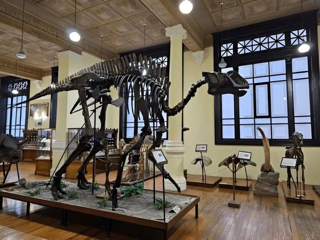 Geology Museum