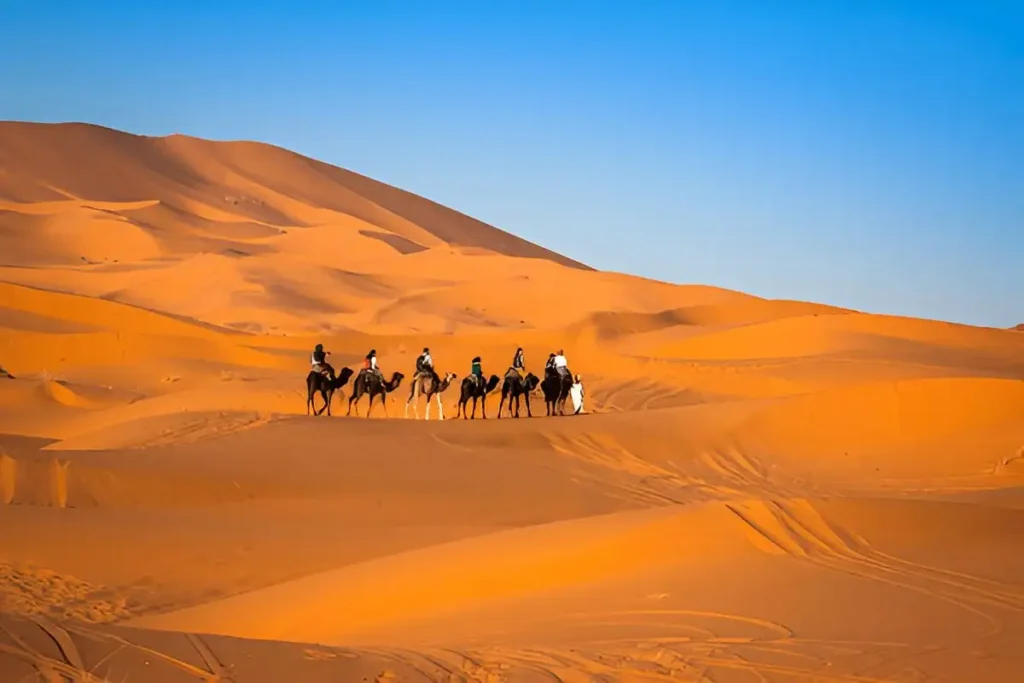 Things to Do in the Sahara Desert.Camel caravan in the Sahara Desert
