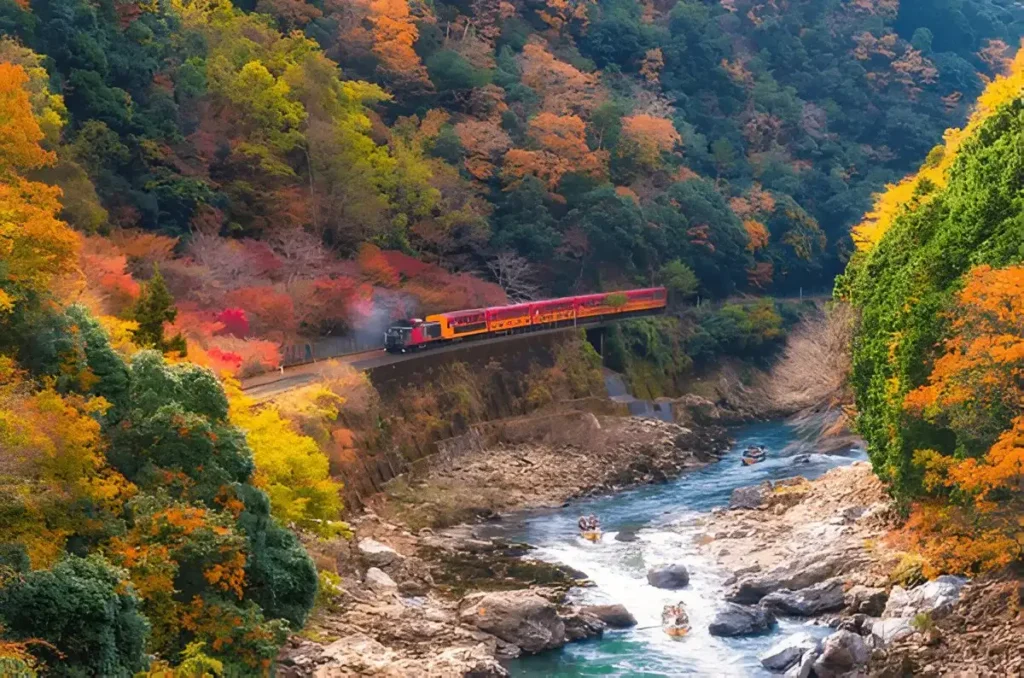 Sagano Romantic Train, Arashiyama bamboo grove at night