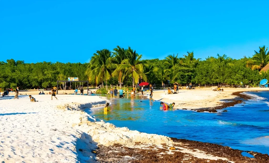 Best Places to Visit in Mexico with Family । Playa del Carmen Quintana Roo Mexico