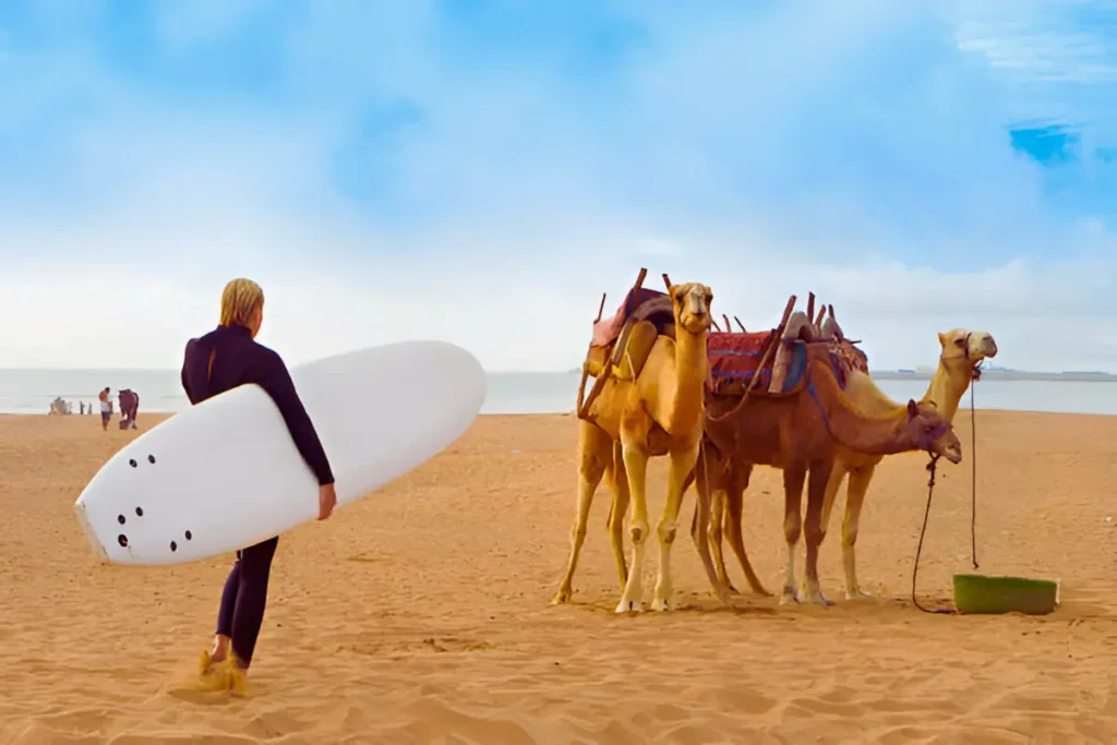 beach of Essaouira, Morocco, Africa