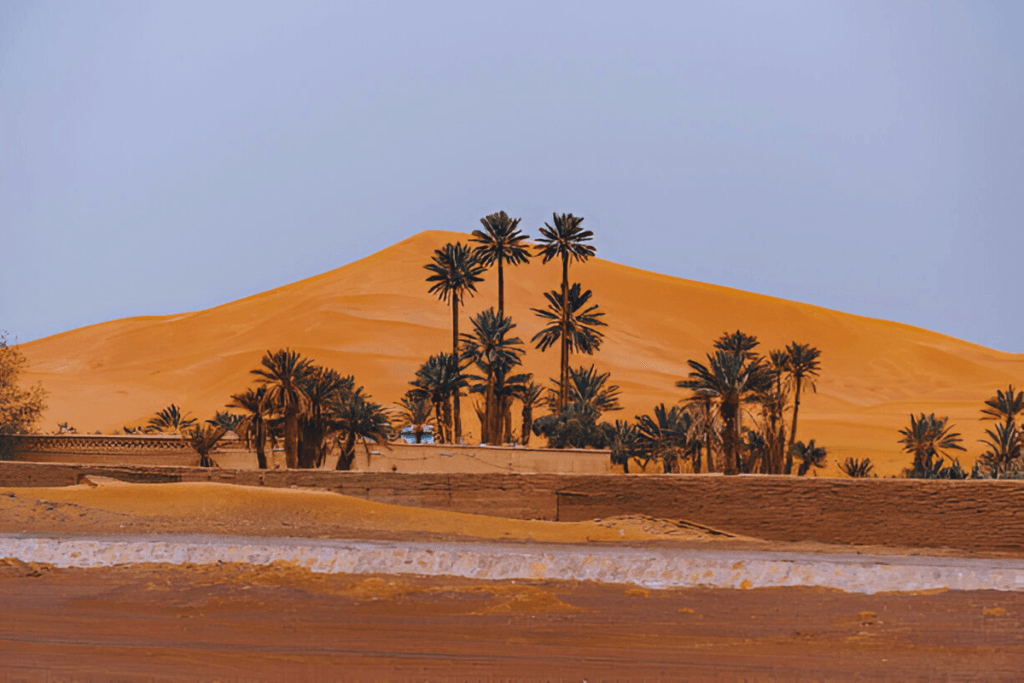 Sahara Desert in Merzouga, Morocco