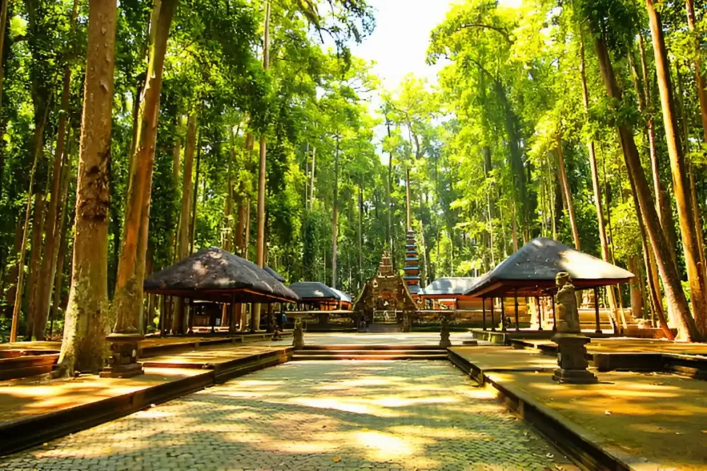 Ubud's Monkey Fores
